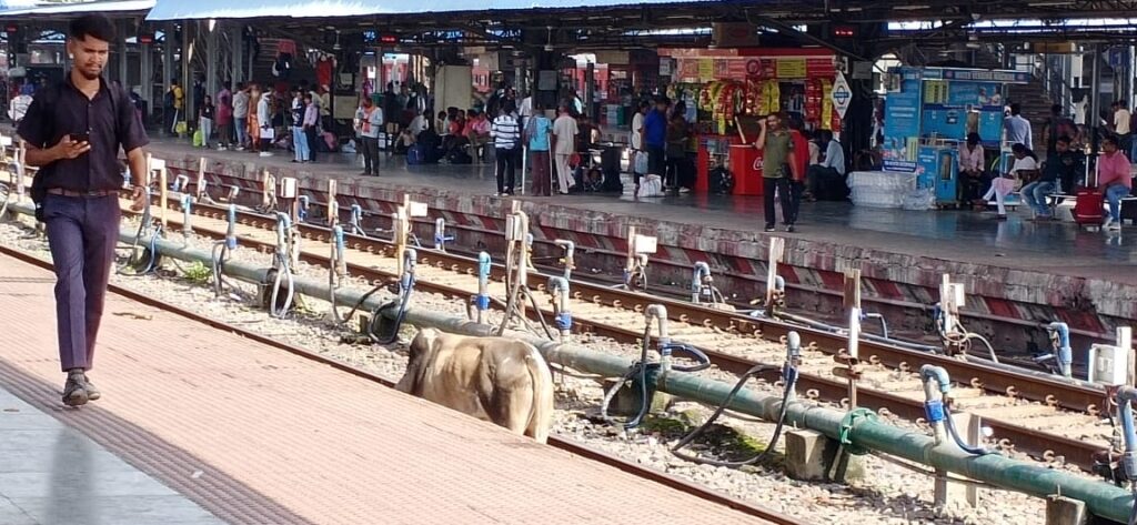 बिलासपुर स्टेशन पर आरपीएफ की लापरवाही से टली बड़ी दुर्घटना, रेलवे सुरक्षा पर उठे सवाल