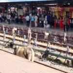 बिलासपुर स्टेशन पर आरपीएफ की लापरवाही से टली बड़ी दुर्घटना, रेलवे सुरक्षा पर उठे सवाल