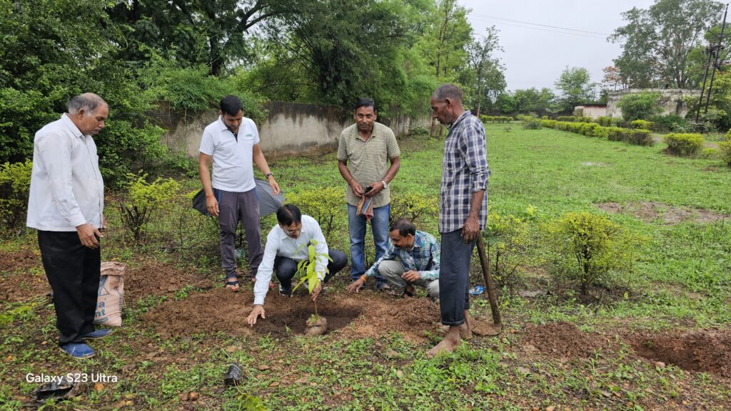 सीसल कृषि प्रक्षेत्र में फलदार पौधों का रोपण, ‘एक पेड़ मां के नाम’ अभियान के तहत 100 पौधे लगाए गए
