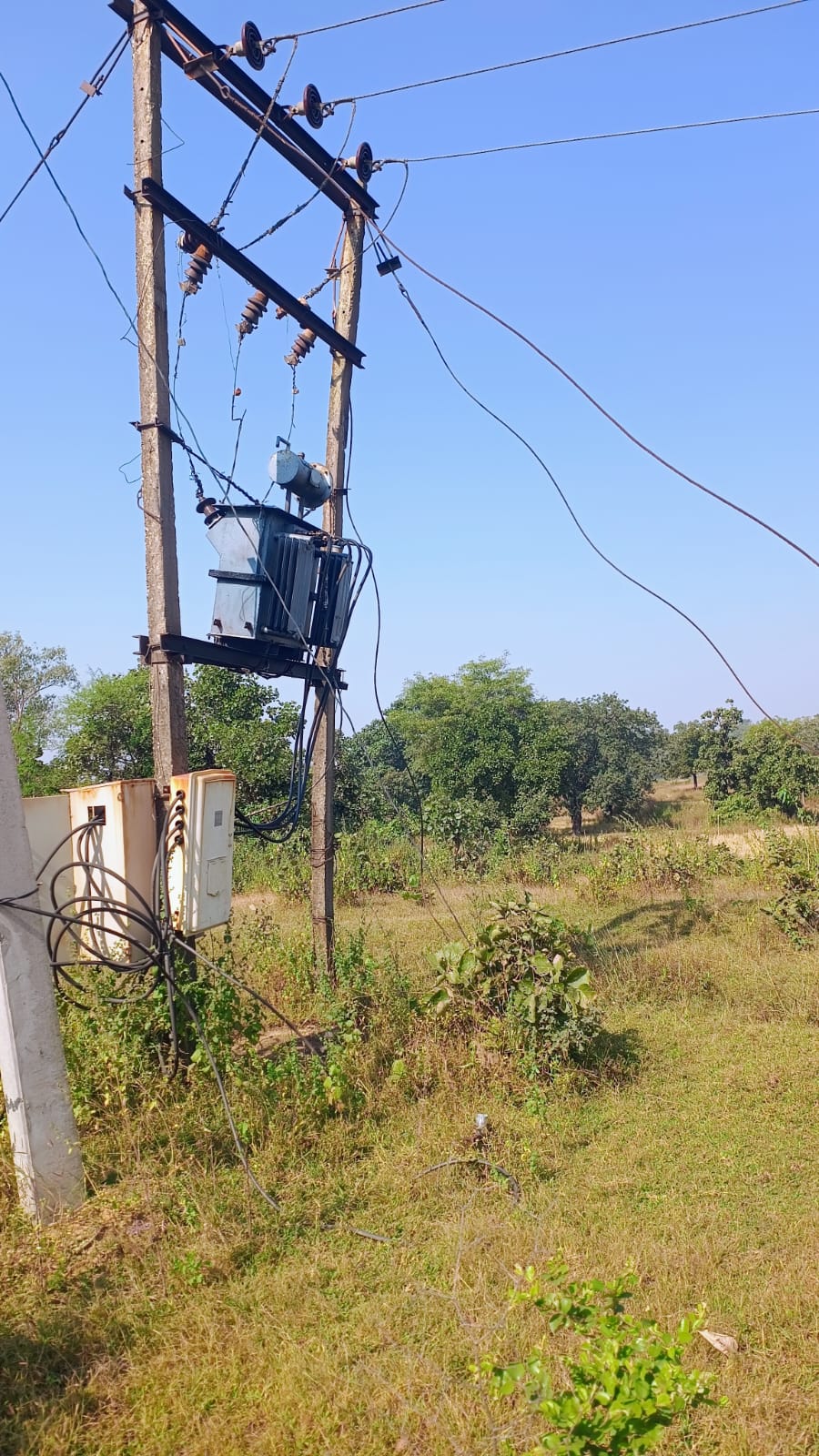 ⚡️ विद्युत विभाग की घोर लापरवाही: मौत का ‘ट्रांसफार्मर पोल’ और ‘लटकते तार’, ग्रामीणों की जान पर संकट