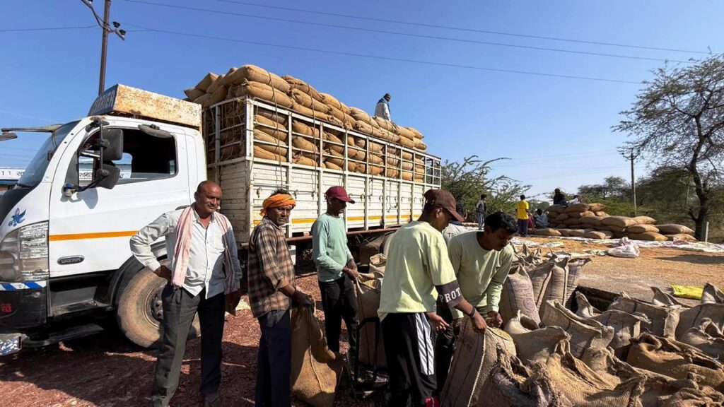 मुंगेली जिले में समर्थन मूल्य पर धान खरीदी सुचारू, पारदर्शिता के साथ जारी