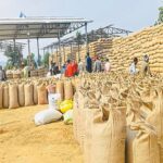 सहकारी समिति में 3 हजार बोरी धान घोटाला उजागर, हर वर्ष होती है खानापूर्ति कार्यवाही