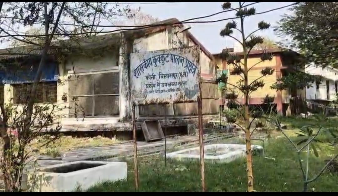  बर्ड फ्लू अलर्ट: बिलासपुर में हाई अलर्ट, कलेक्टर-एसएसपी का देर रात निरीक्षण, कंटेनमेंट जोन में सख्ती