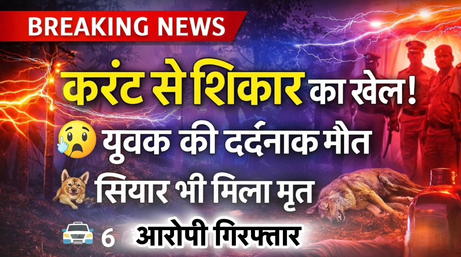 करंट के जाल में मौत: मैनेपाट जंगल में अवैध शिकार का खौफनाक खुलासा, 6 आरोपी गिरफ्तार