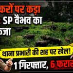 whatsapp image 2026 09 18 at 2.11.27 pm